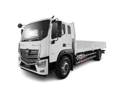 Foton Auman D