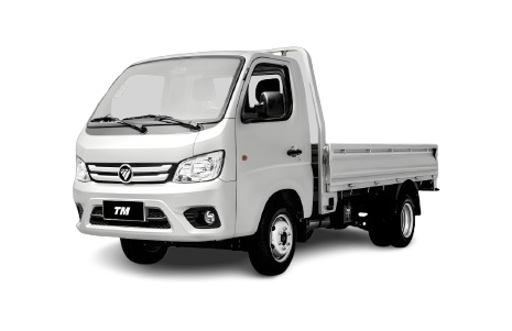 Foton Truck Mate